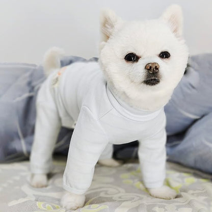 Dog Recovery Suit After Surgery - Abdominal Wound Protection, Anti-Licking Vest (Substitute for E-Collar, Female, OneSize, RSS08-Fblue-M+)