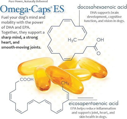 Omega Caps ES Extra Strength for Large and Giant Dogs Omega-3 and Omega-6 Fatty Acid Antioxidant Supplement Vet Formulated Made in USA Skin Coat Joint Heart and Immune Health 60 Softgel Capsules