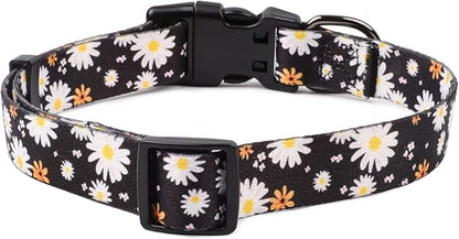 QQPETS Adjustable Soft Dog Collar: Print Flower Pink Multicolor Cute Patterns for XS Small Medium Large Pet Girl Boy Puppy Walking Running Training (L, White Daisy)