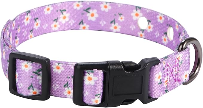 Rhea Rose 1 Inch Replacement Collar Strap Shock Collar with 2 Holes, Compatible with Nearly All Brands and Models of Underground Electric Dog Fences and Training Collars, Lavender Flowers