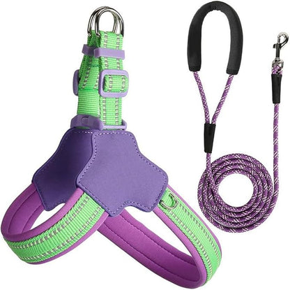 Reflective Dog Harness and Leash Set Designed for Collie, Anti-Pull Adjustable Pet Harness and Leash Purple M
