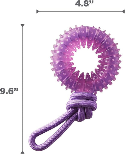 2-in-1 Dental Dog Chew Wheel Ring & Rope Tug Toy for Teething Puppies & Dogs, Mint-Scented & Teeth-Cleaning, 9-Inch, Purple