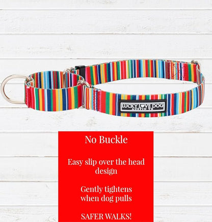 Lucky Love Dog Martingale Dog Collar - Adjustable, No-Slip, Durable, & Soft Webbing Collar for Male and Female Dogs Ideal for Training & Walking - Hippie, Medium