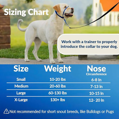 Headcollar for Dogs, Extra Soft Padded, Reflective, No Pull Dog Collar, Gentle Leader for Dogs with Durable Nylon Leash, Padded Handle - Navy Blue (Small)