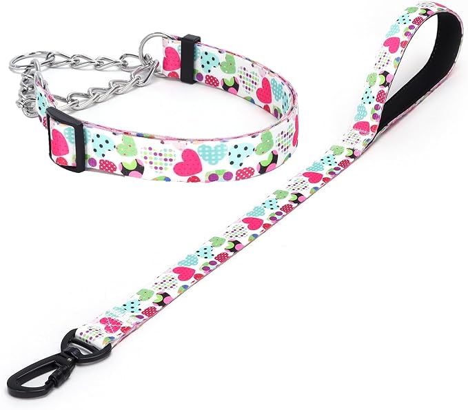 Martingale Dog Collar and Leash Set, Stainless Steel Chain, No Pull Training Collar with Flower Design, for Small, Medium, Large Dogs (NO4, S)