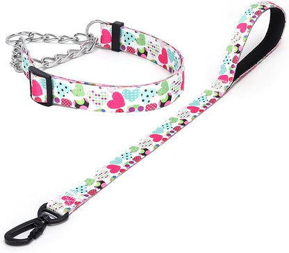 Martingale Dog Collar and Leash Set, Stainless Steel Chain, No Pull Training Collar with Flower Design, for Small, Medium, Large Dogs (NO4, S)