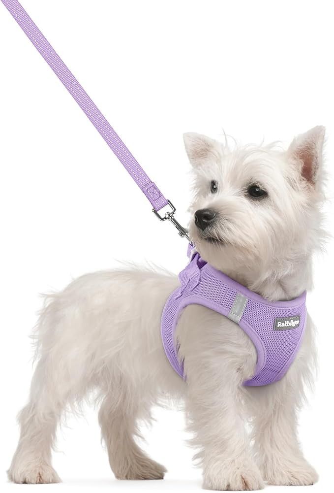 rabbitgoo Dog Harness Small Sized and Leash Set, Step in Soft Light Puppy Vest, Breathable Mesh Pet Harness, Reflective for Safe Easy Walking, Light Purple S