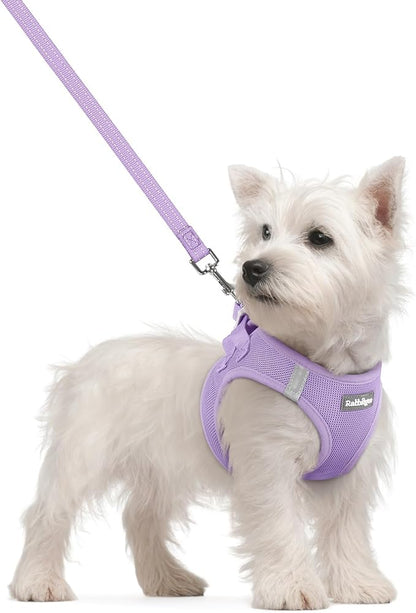 rabbitgoo Dog Harness Small Sized and Leash Set, Step in Soft Light Puppy Vest, Breathable Mesh Pet Harness, Reflective for Safe Easy Walking, Light Purple S