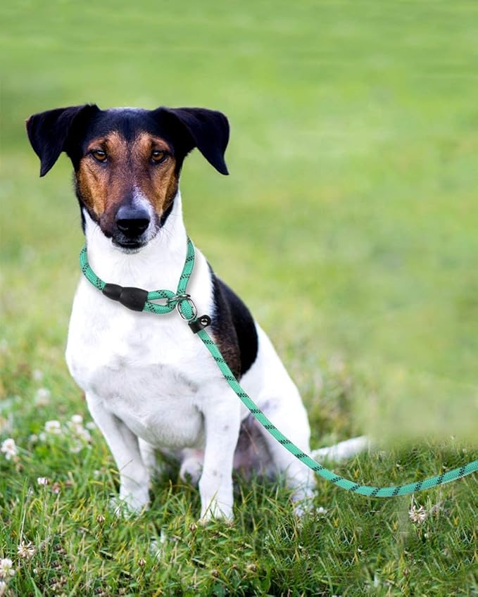 TagME 6ft Slip Dog Lead, No Pull Reflective Training Leash with Padded Handle, Professional Rope P-Leash for Small Medium Large Dogs, Heavy Duty Correction Lead for Walking & Training (Turquoise)