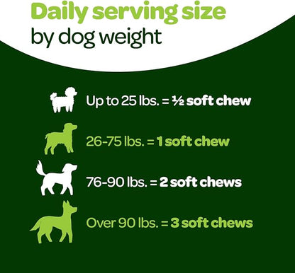 Probiotic Chews for Dogs Gut Health | Tasty Pre and Probiotics for Dogs Digestive Health with Pumpkin Dog Probiotics and Digestive Enzymes | NASC Certified & Made in The USA | 60 Chews (Pack of 2)