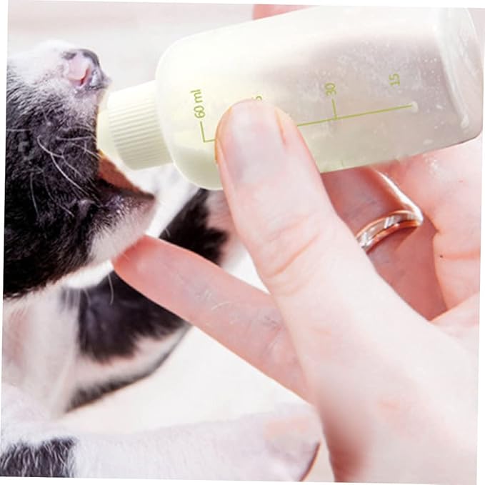 BESPORTBLE 1set Pet Feeding Bottles Set Cat Feeding Bottle for Kitten Milk Kitten for Nursing Small Nursing Pet Supply