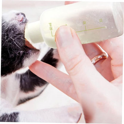 BESPORTBLE 1set Pet Feeding Bottles Set Cat Feeding Bottle for Kitten Milk Kitten for Nursing Small Nursing Pet Supply