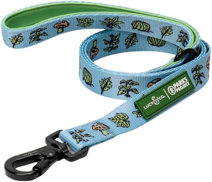 Lucy & Co. x Parks Project Feel the Earth Breath Dog Leash, Durable Matching Dog Lead with Heavy Duty Hardware, Small