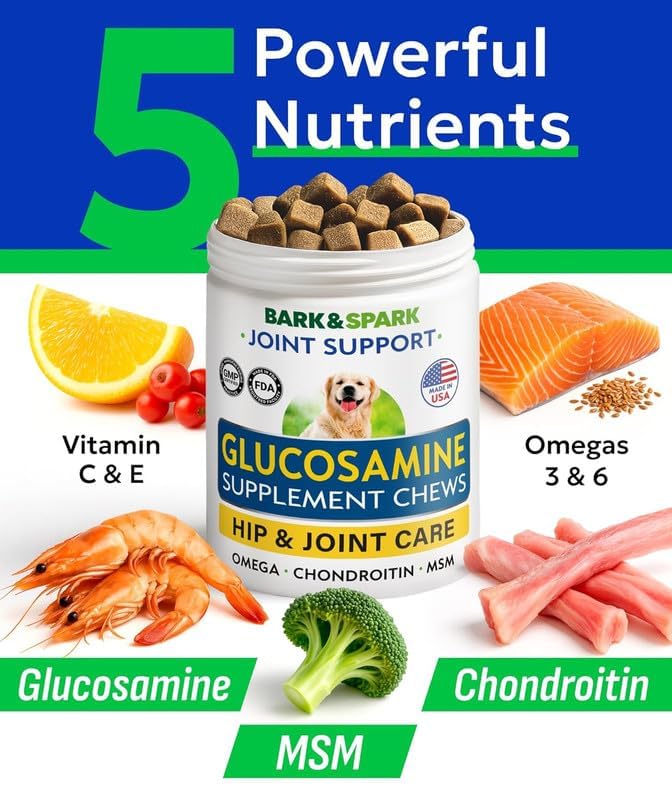 Glucosamine Chondroitin Dog Hip & Joint Supplement - Joint Pain Relief - Hip & Joint Chews for Dogs - Joint Support Large Breed - Senior Doggie Vitamin Pills Joint Health - (240 Treats - Chicken)