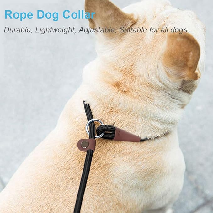 MayPaw Slip Collar Nylon Rope Adjustable Collar for Dog Training- No Pull Round Martingale Dog Collars for Small Medium Large Dogs (20" x 1/4", Orange)