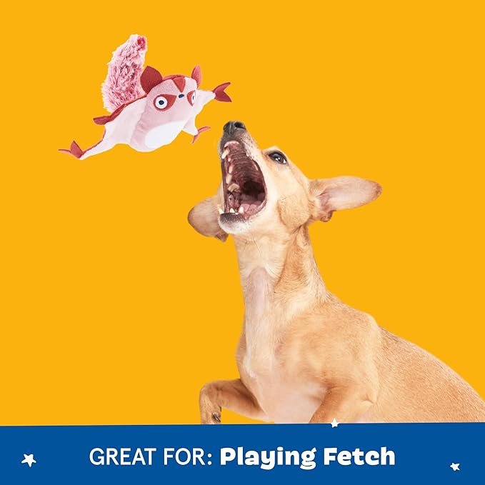 Barkbox Sheila Sugar Glidah Plush Toy for X-Small Dogs – 2-in-1 Squeaky & Crazy Crinkle Fun – Perfect for Fetch, Tug, and Interactive Playtime