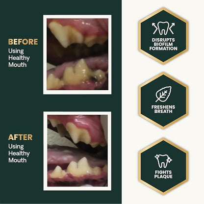VetriScience Healthy Mouth Dog Dental Powder, 2 Pack – Helps Reduce Plaque & Tartar Buildup, Support Clean Teeth & Fresh Breath, Vet-Formulated Oral Care Powder for Dogs & Cats, 2 x 4.2 oz