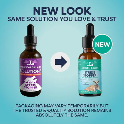 Jackson Galaxy: Scaredy Cat (2 oz.) - Pet Solution - Promotes Sense of Self-Confidence and Reassurance - Perfect for Cats Who Hide and Run from Touch - All-Natural Formula - Reiki Energy