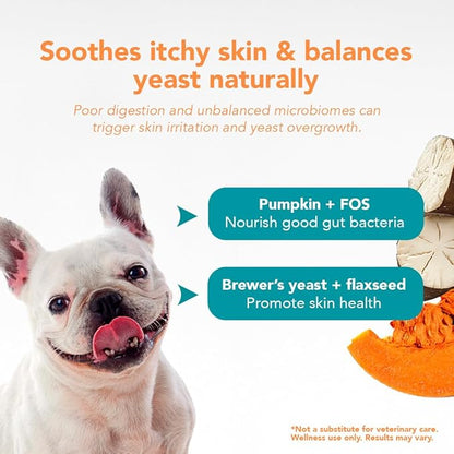 Dog Probiotic Chews – Pre & Probiotics for Dogs with Pumpkin-Digestive & Gut Health Support, Helps with Diarrhea, Gas & Constipation, Bacon Flavor, 30 Soft Chews – Ol'Nelly