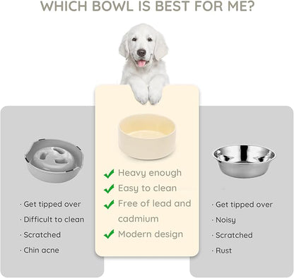 SPUNKYJUNKY 13.5OZ Ceramic Dog and Cat Bowl, Modern Cute Weighted Food Water Bowl for Replacement Beige (2 Pack)