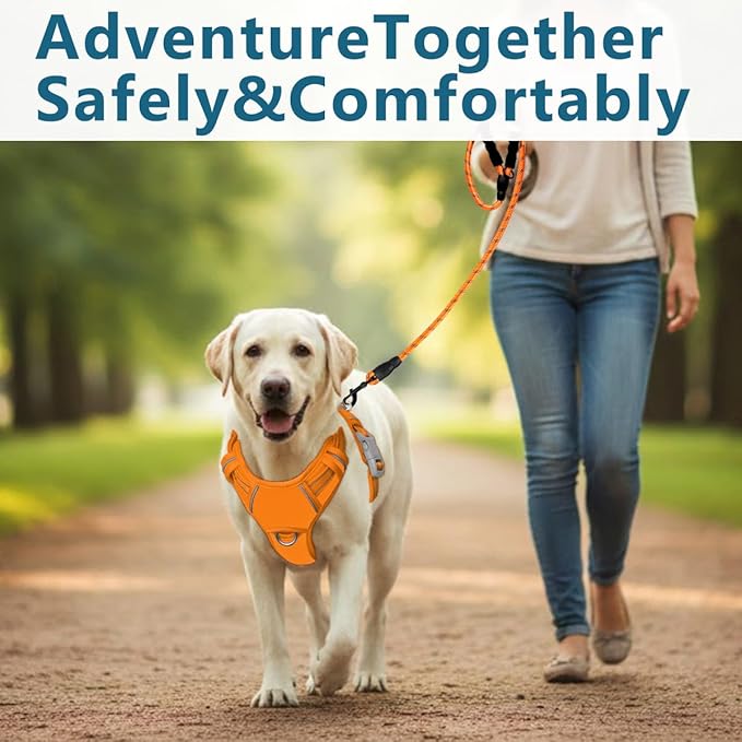 BARKBAY Dog Harness No Pull Oxford with ID Tag Pocket - Heavy Duty, Reflective, Easy Control for Large Dogs(Pumpkin Oxford,M)