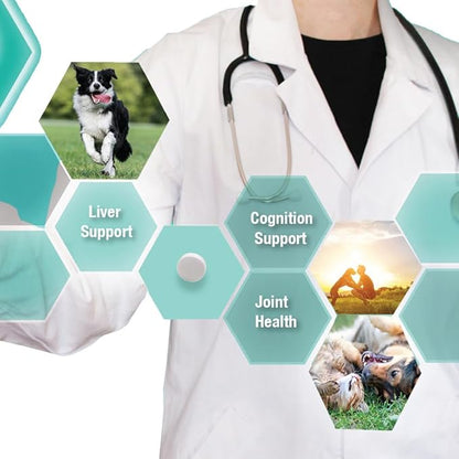 Denestra Same for Dogs – S-Adenosyl-L-Methionine (Same) – Liver, Joint & Cognitive Support for Dogs – Promotes Brain Function & Mobility – Vet-Approved Formula – 200 mg – 60 Tablets