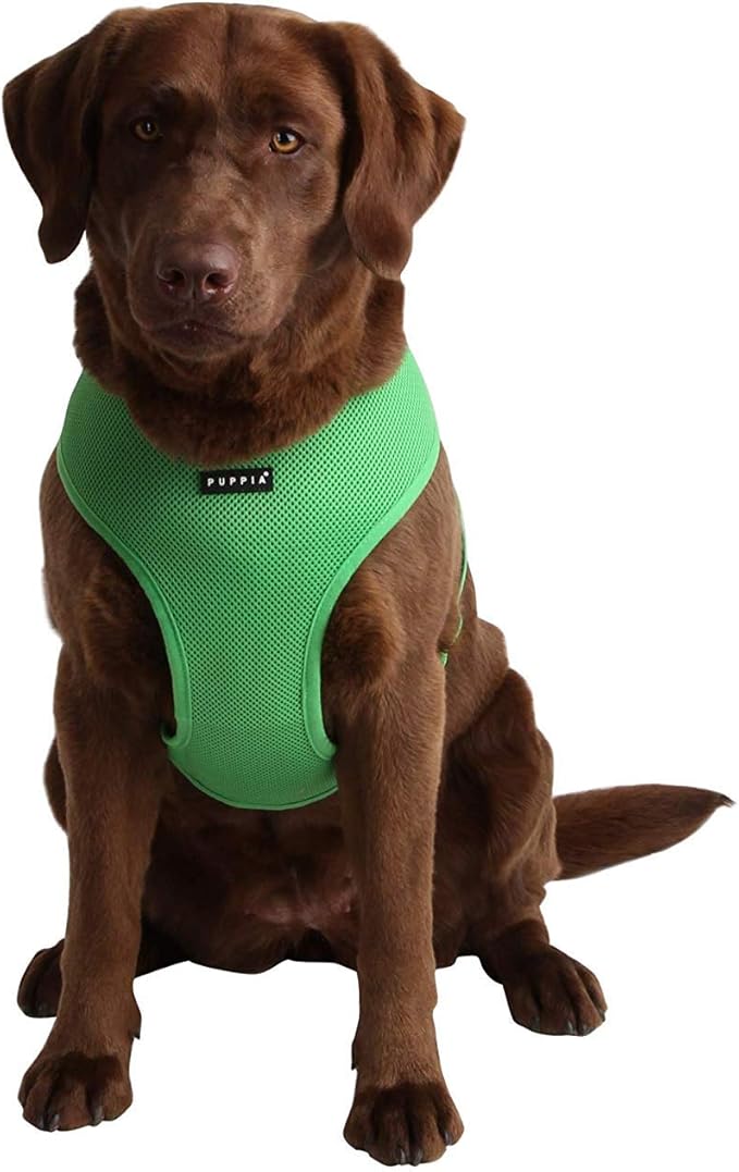 Puppia Soft Dog Harness No Choke Over-The-Head Triple Layered Breathable Mesh Adjustable Chest Belt and Quick-Release Buckle, Green, Small