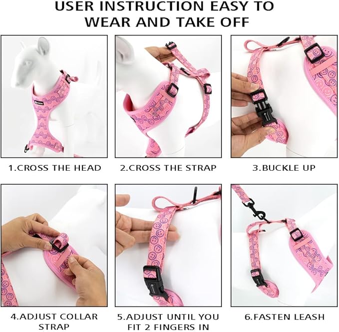 Adjustable Dog Harness and Leash Set for Girl Air Mesh Dog Vest Harness 5Ft Pet Training Leash with Soft Handle Pet Escape Proof for Small Medium Large Dogs (Dinosaur, S)