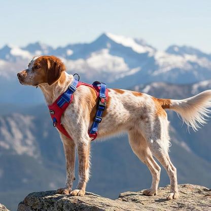 Tactical Dog Harness for Large Medium Dogs No Pull Adjustable Pet Vest with Reflective Straps Front & Back Clips Handle for Hiking Walking Hunting– 4 Sizes with or Without Leash (RED, M)