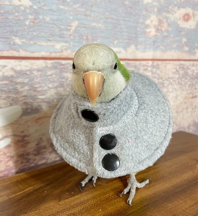 Adjustable Recovery Bird Cone Collar, Elizabeth Protective Collar, Safe and Practical Neck Sleeve for Preventing Bite and Licking Wound Healing with Snap Fastener Random Color(Small)