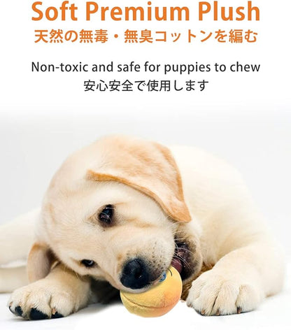 SCHITEC Squeaky Dog Toys, [6 Pack] Soft Stuffed Plush Balls with Squeakers, Interactive Fetch Play for Puppy Small Pets