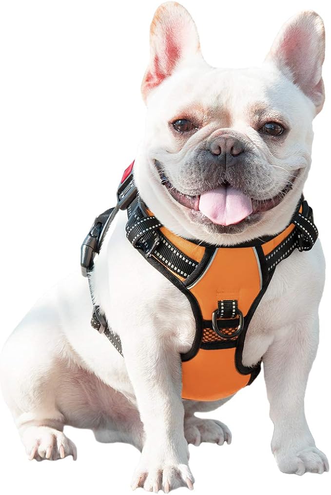 PHOEPET No Pull Dog Harnesses for Small Dogs Reflective Adjustable Front Clip Vest with Handle 2 Metal Rings 3 Buckles [Easy to Put on & Take Off] (S, Orange)