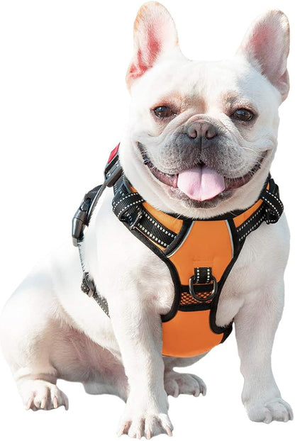 PHOEPET No Pull Dog Harnesses for Small Dogs Reflective Adjustable Front Clip Vest with Handle 2 Metal Rings 3 Buckles [Easy to Put on & Take Off] (S, Orange)