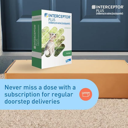 Interceptor Plus Prevention for Heartworm + 4 Other Worms for Dogs 25.1-50 lbs. | 1 Chew, 1-Month Supply