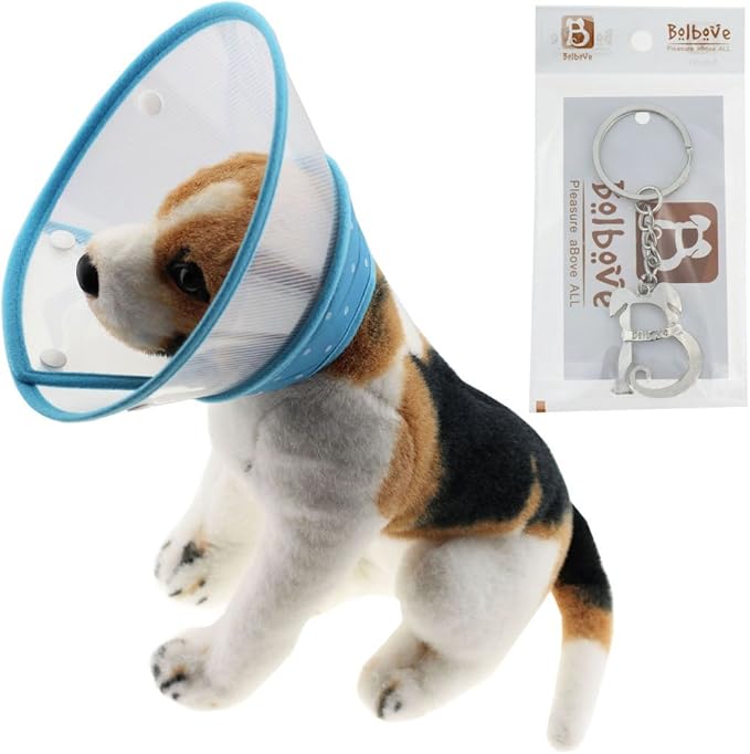 Pet Plastic Clear Cone Recovery E-Collar with Dots Design Soft Edge for Small Dogs & Cats (Small, Blue)