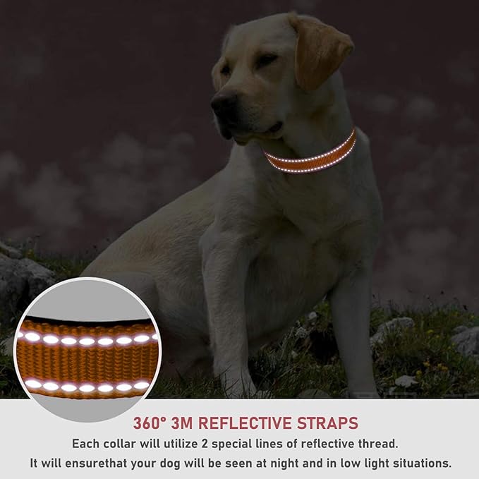 Reflective Dog Collar with Buckle Adjustable Safety Nylon Collars for Small Medium Large Dogs, Orange S