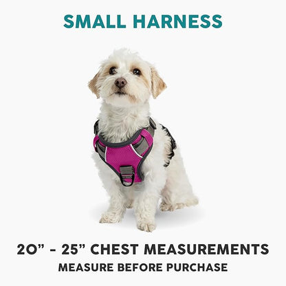 Embark Adventure No-Pull Small Dog Harness – Reflective Trim, Military-Grade Nylon, Front Clip with Gel-Lined Handle