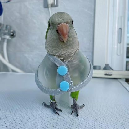 Adjustable Parrot Cone Collar, Safe and Practical Cotton Collar to Prevent Bites and Licking Wounds, to Help heal (M)