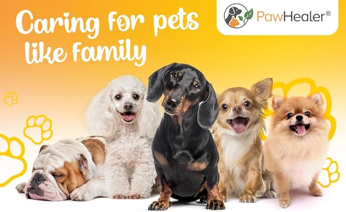 PawHealer® Dissolve Herbal Formula - 100 Grams Powder - Remedy for Fatty Lumps & Bumps in Dogs & Pets …