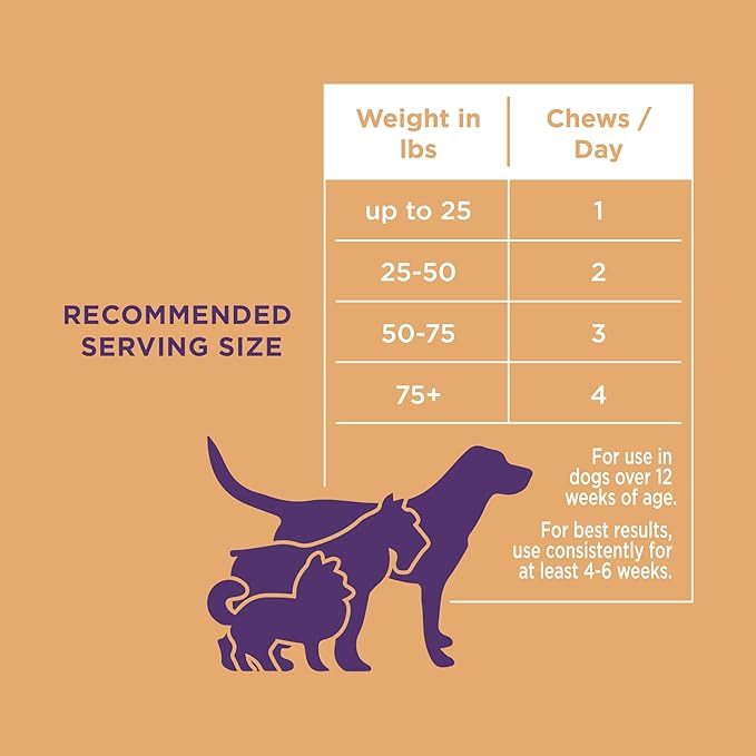 Natural Rapport Dog Skin and Coat Supplement - The Only Skin and Coat Soft Chews Dogs Need - 120ct Treats that Contain Salmon Oil and Omegas 3, 6, & 9
