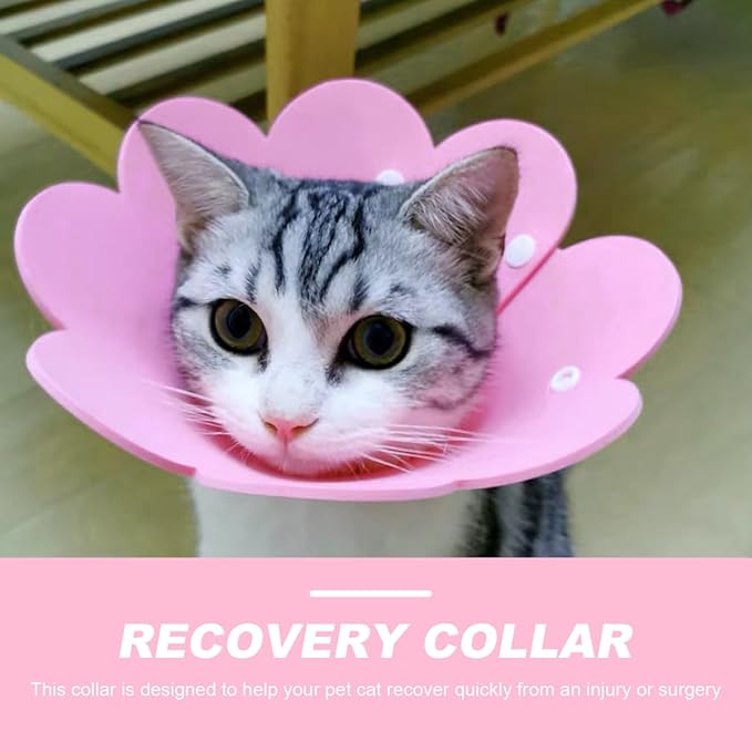 Cat Recovery Collar, Cat Recovery Collar Protective Cone Licking Neck Cone Kitten Pet Eva -Scratch