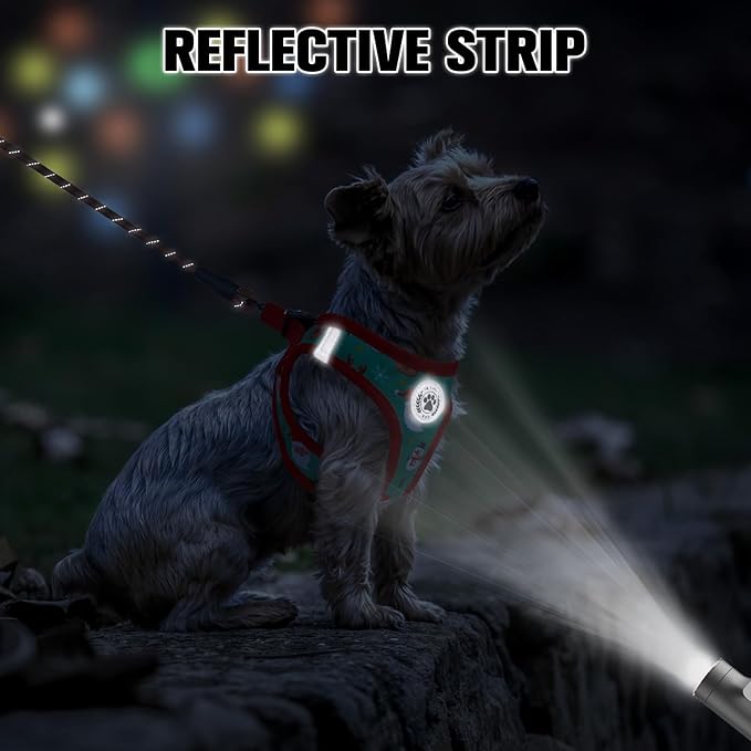 BEAUTYZOO Step in Dog Harness and Leash Set,Reflective Dog Harness No Pull No Choke Puppy Harness for Small Medium Large Dogs Cats,Soft Padded Mesh Vest Harnesses for Girl and Boy Pets,Christmas S