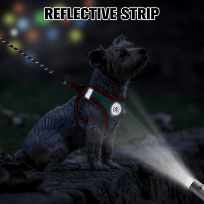 BEAUTYZOO Step in Dog Harness and Leash Set,Reflective Dog Harness No Pull No Choke Puppy Harness for Small Medium Large Dogs Cats,Soft Padded Mesh Vest Harnesses for Girl and Boy Pets,Christmas XS