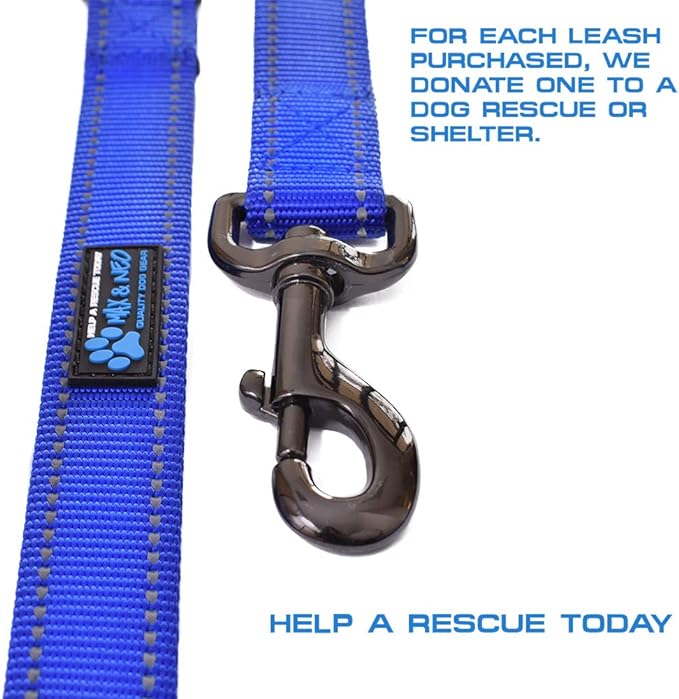 Max and Neo Small Dog Leash - Reflective Nylon, Donates to Dog Rescue (Teal, 4x5/8)