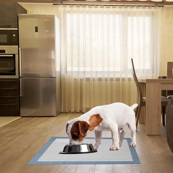 BV Puppy Pads XL 20 Count 34"x28" - Leak-Proof Pee Pads for Dogs with 6-Layer Design, Rapid Dry Sheet & Attractant - Dog Pad Extra Large with Odor Control - Perfect for Big Dogs & Indoor Use