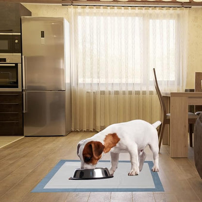 BV Puppy Pads XL 20 Count 34"x28" - Leak-Proof Pee Pads for Dogs with 6-Layer Design, Rapid Dry Sheet & Attractant - Dog Pad Extra Large with Odor Control - Perfect for Big Dogs & Indoor Use