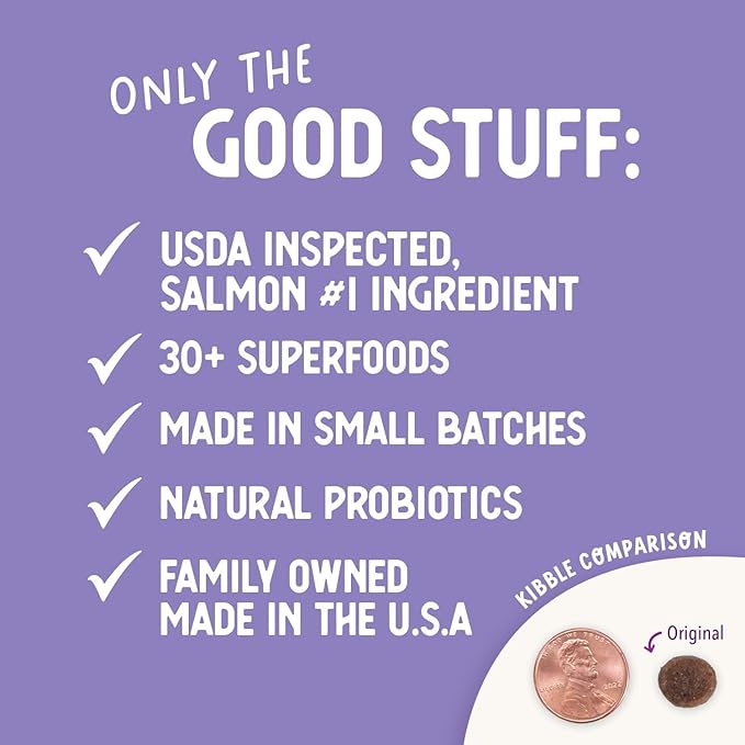 Health Extension Grain Free Salmon & Sweet Potato Dry Dog Food - 30+ Superfoods and Probiotics for All Life Stages (4 lb)