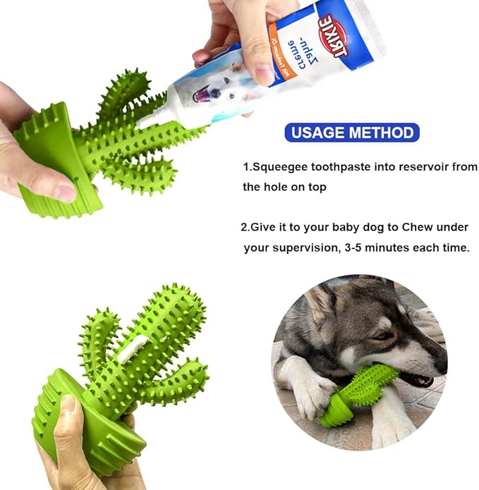 Pamlulu Dog Chew Toys, Toothbrush Stick Teeth Cleaning Brush Dental for Small Medium Large Dog, Rubber Squeaky Toys for Aggressive Chewers Cactus Tough Toys