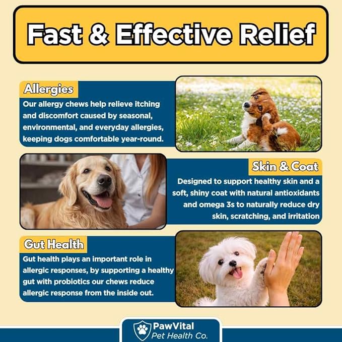 Dog Allergy Chews - 200ct Dog Allergy Relief for Itching Skin & Paw Licking - Allergy and Immune Chews for Dogs with Probiotics & Colostrum - Anti Itch Supplement for Seasonal Allergies, Salmon Flavor