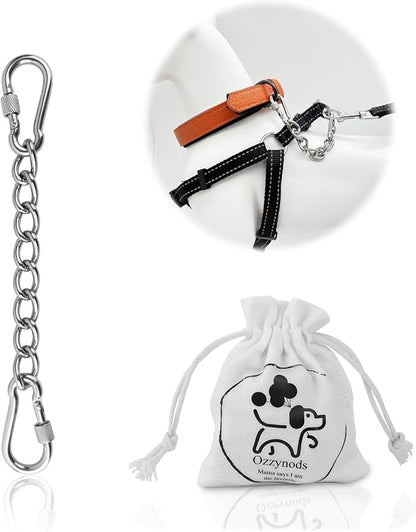 Dog Collar Safety Clip, Chew Proof Prong Collar Double Ended Backup Clasp Stainless Steel, Heavy Duty Dog Chain Leash Connector for Harness, Pinch, Gentle Lead with Carabiner, 7in